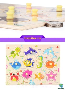 đồ chơi học tập cho bé, đồ chơi trí tuệ cho bé 3 tuổi,đồ chơi thông minh cho bé, đồ chơi thông minh cho trẻ, đồ chơi giáo dục, đồ chơi trí tuệ, đồ chơi phát triển trí tuệ, đồ chơi thông minh cho bé 2 tuổi, đồ chơi thông minh cho bé 3 tuổi, đồ chơi thông minh cho bé 4 tuổi, đồ chơi thông minh cho bé 5 tuổi, đồ chơi giáo dục cho bé 1 tuổi, đồ chơi giáo dục cho bé 2 tuổi,bộ đồ chơi câu cá dưới nước, đồ chơi giáo dục cho bé 3 tuổi, đồ chơi giáo dục cho bé 5 tuổi, đồ chơi vận động cho bé, đồ chơi vừa học vừa chơi, sách vải cho bé dưới 1 tuổi, sách vải cho bé sơ sinh
